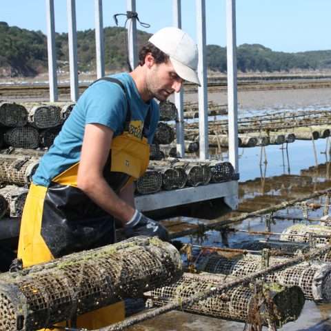 Installation de poches australiennes